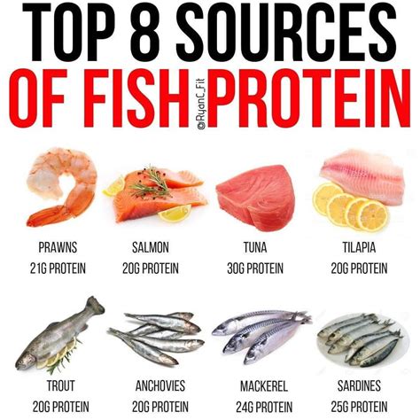 10 High Protein Fish and Seafood Options for a Nutrient-Packed Diet